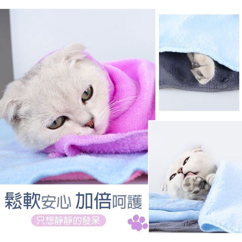 【輕盈毛絨/蓬鬆緊密】🐈寵物珊瑚絨毛毯 寵物法蘭絨毛毯 保暖絨毯 寵物毛毯 寵物毯 寵物被墊 寵物毯子 寵物被子-細節圖7