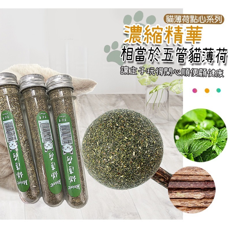 【健康原料/零添加美味】🐈貓薄荷棒棒糖＆木天蓼 貓薄荷球 逗貓神器 貓草球 貓放鬆 貓磨牙 潔牙棒 貓薄荷 貓零食-細節圖7