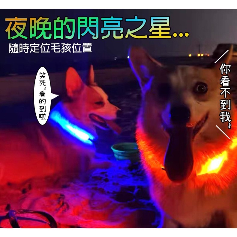 【夜間救星/LED輔助燈】🐈寵物LED發光項圈 USB充電式寵物發光項圈 LED發亮項圈 寵物項圈 狗狗項圈 狗項圈-細節圖3