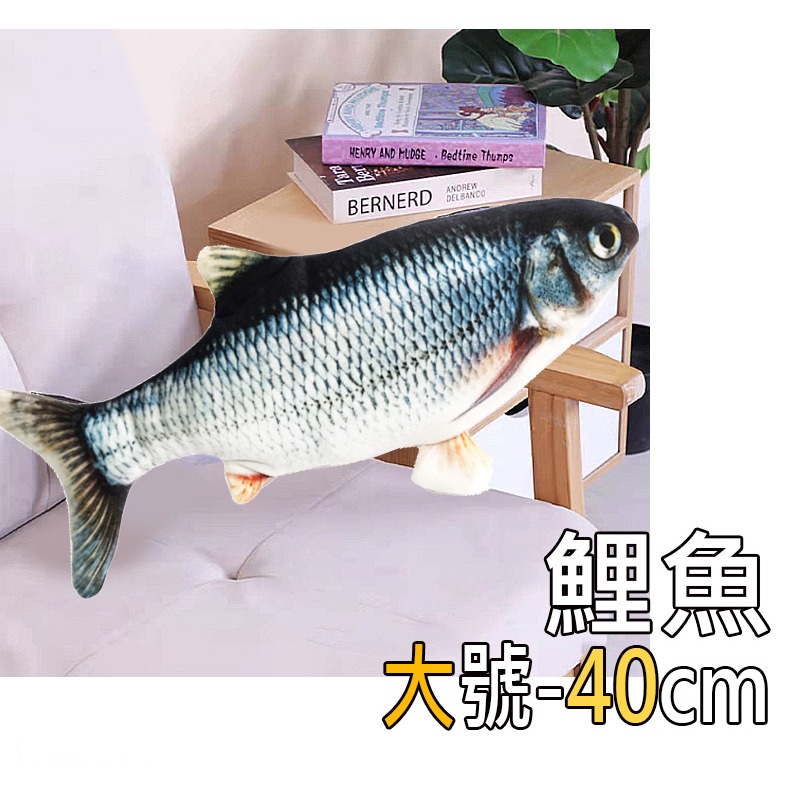 6.鯉魚(大)