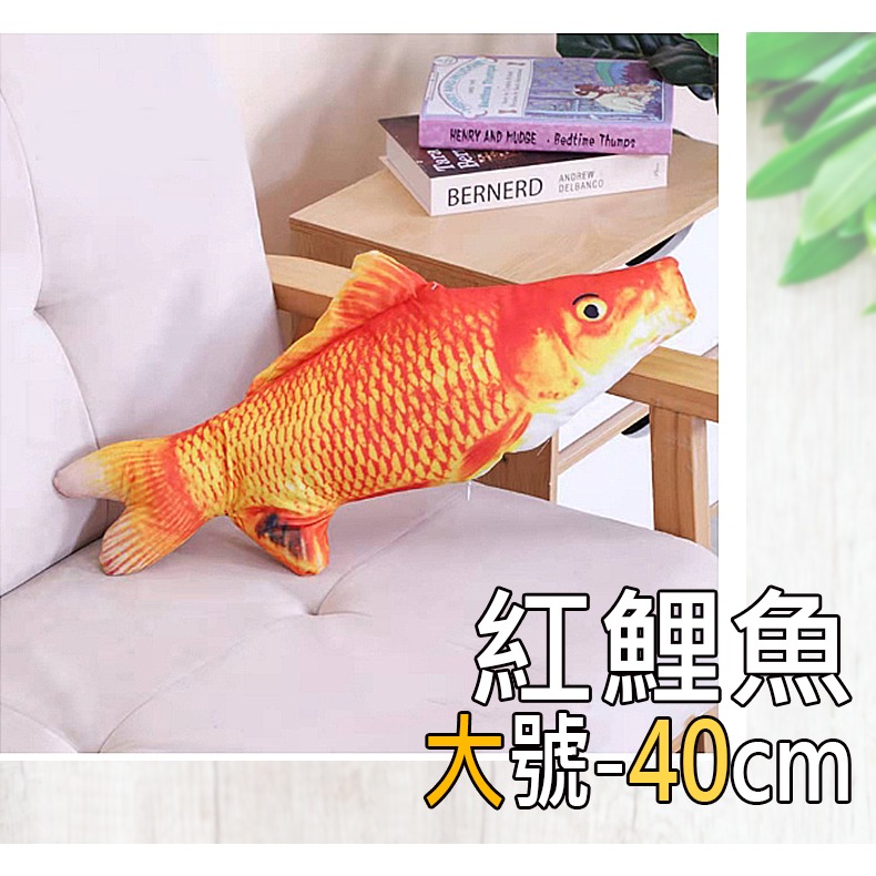 24.紅鯉魚(大)