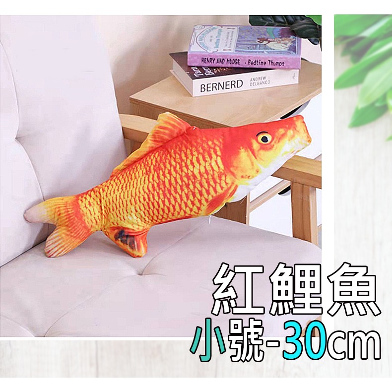 24.紅鯉魚(小)