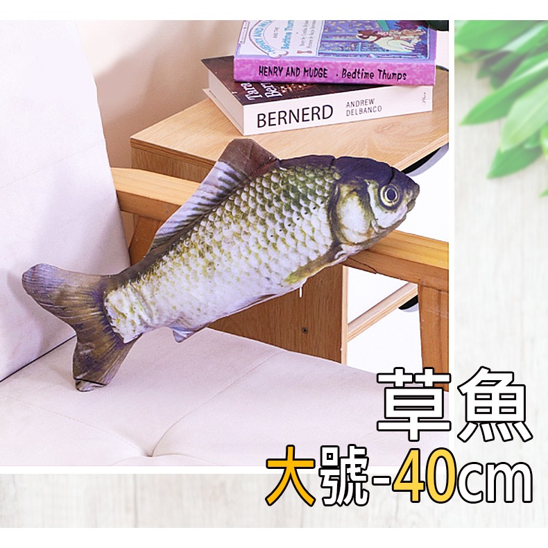 25.草魚(大)