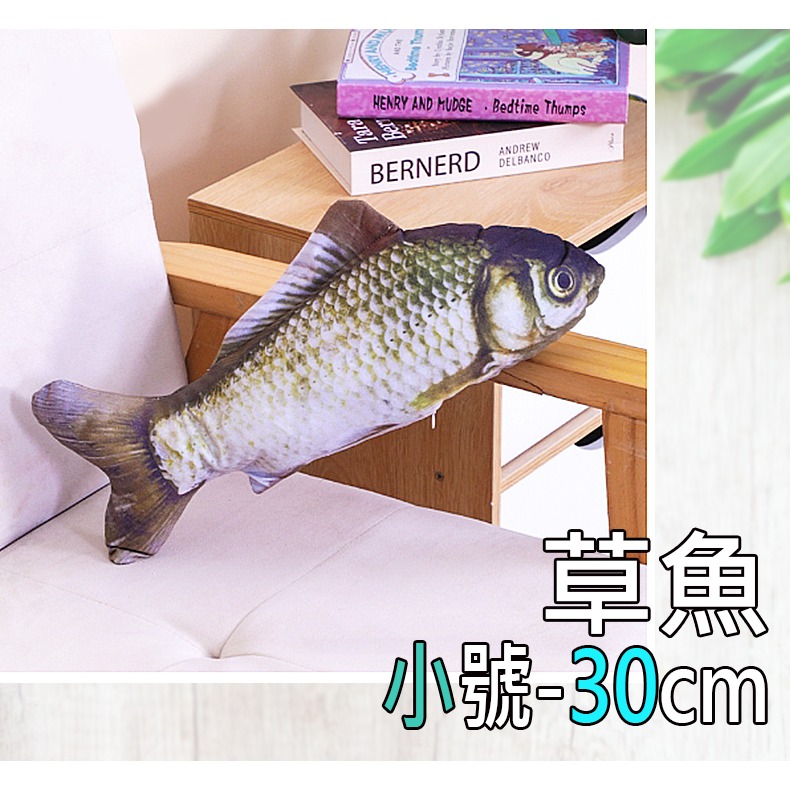 25.草魚(小)
