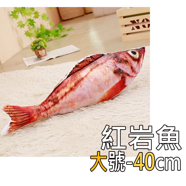 3.紅岩魚(大)