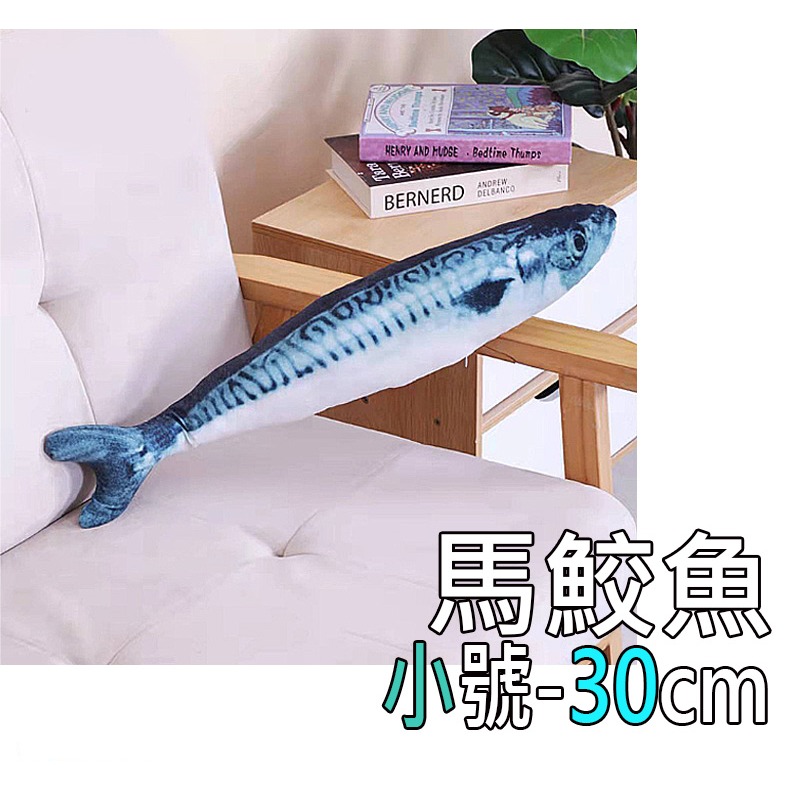 4.馬鮫魚(小)