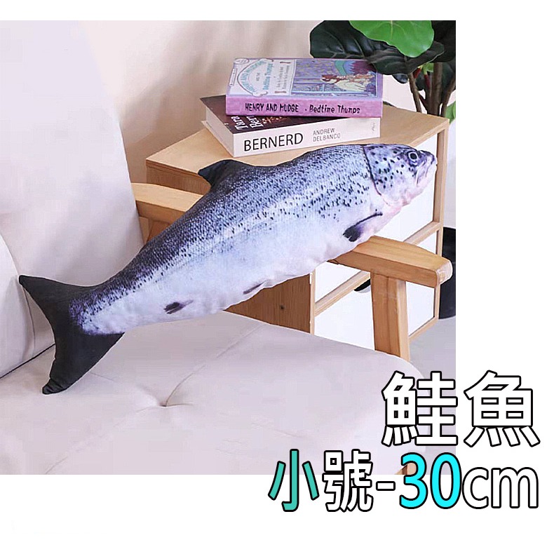 5.鮭魚(小)