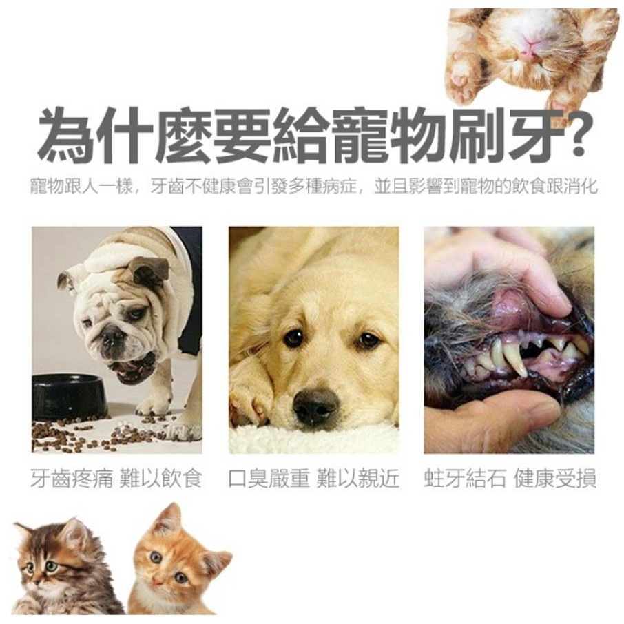 【柔軟矽膠/細密觸牙】🐈寵物指套牙刷組 寵物牙刷 貓狗牙刷 指尖刷 矽膠牙刷 指套牙刷 牙齒清潔刷 口腔清潔刷-細節圖2