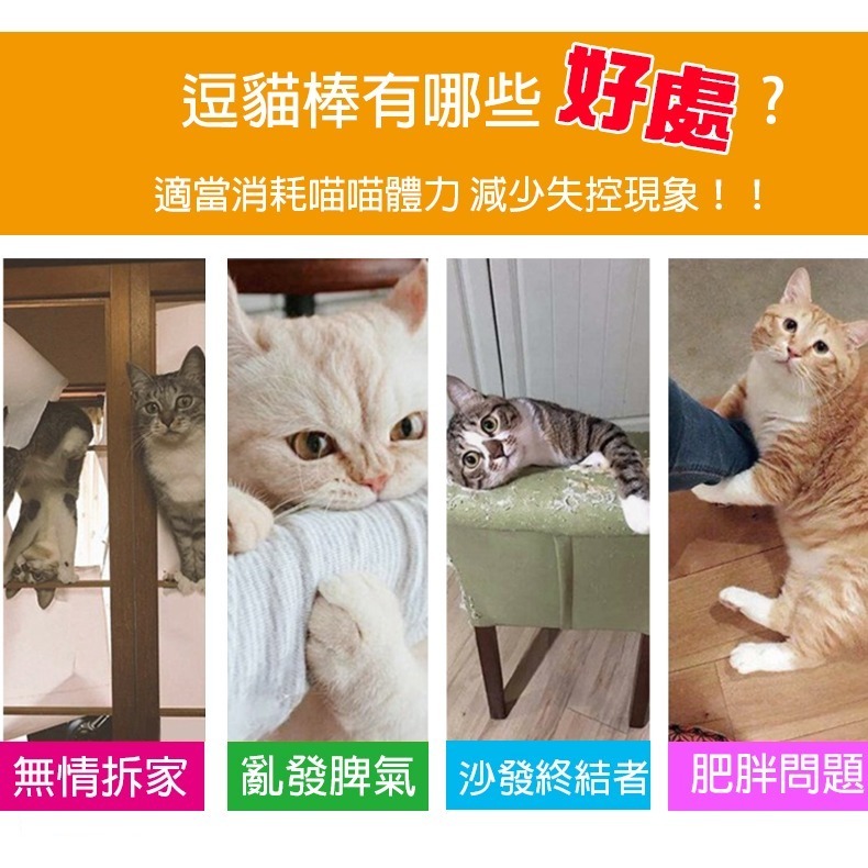 【逗貓神器/多種款式】🐈三節伸縮逗貓棒 可替換頭 逗貓杆 釣竿逗貓棒 可伸縮逗貓桿 逗貓神器 貓咪玩具 寵物玩具-細節圖5