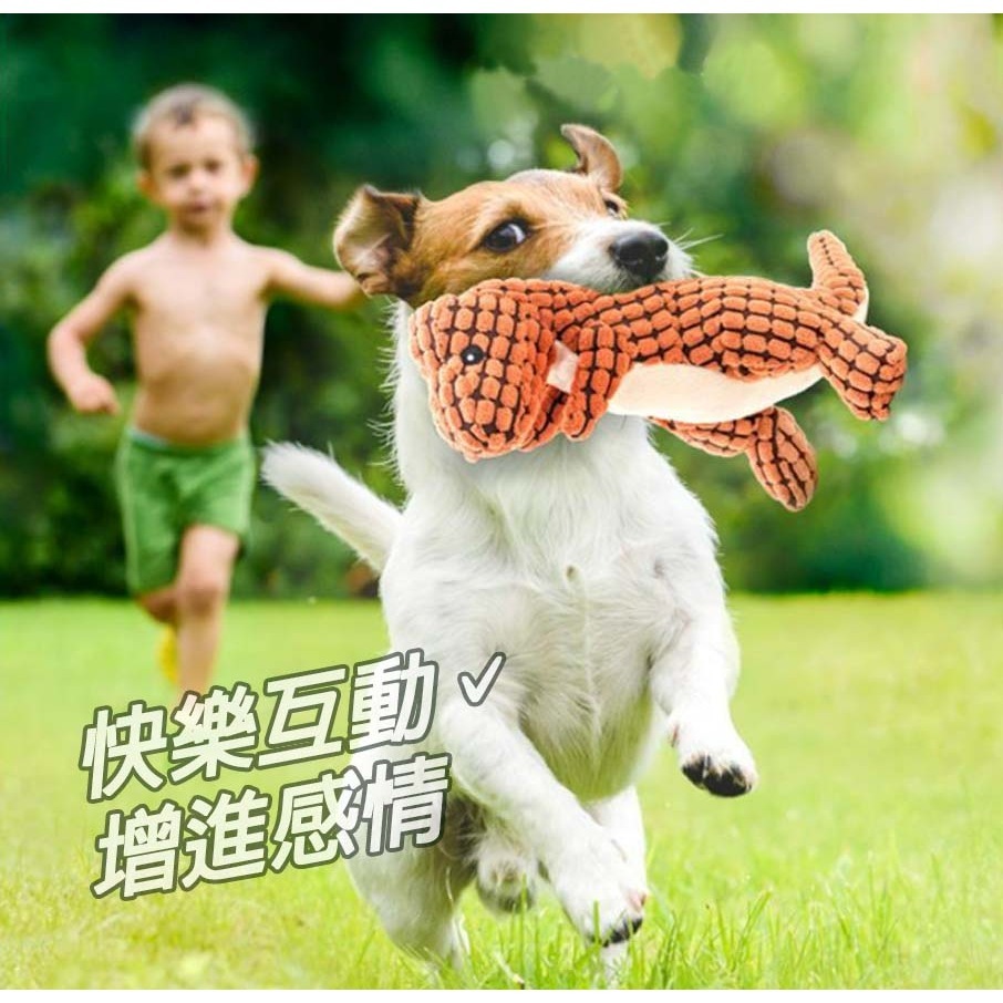 【磨牙潔齒/可愛造型】🐈寵物耐咬玩具 發聲玩具 狗玩具耐咬狗狗玩具 發聲玩具 玩具 狗狗玩具 寵物玩具 狗玩具-細節圖3