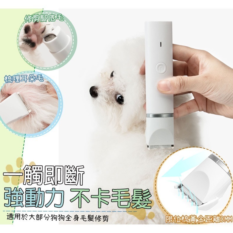 【IPX7防水等級/不傷皮膚】🐈四合一寵物電動剪 寵物電剪 寵物美容 寵物剃毛 寵物剪毛器 狗狗剃毛器 貓咪剃毛-細節圖7