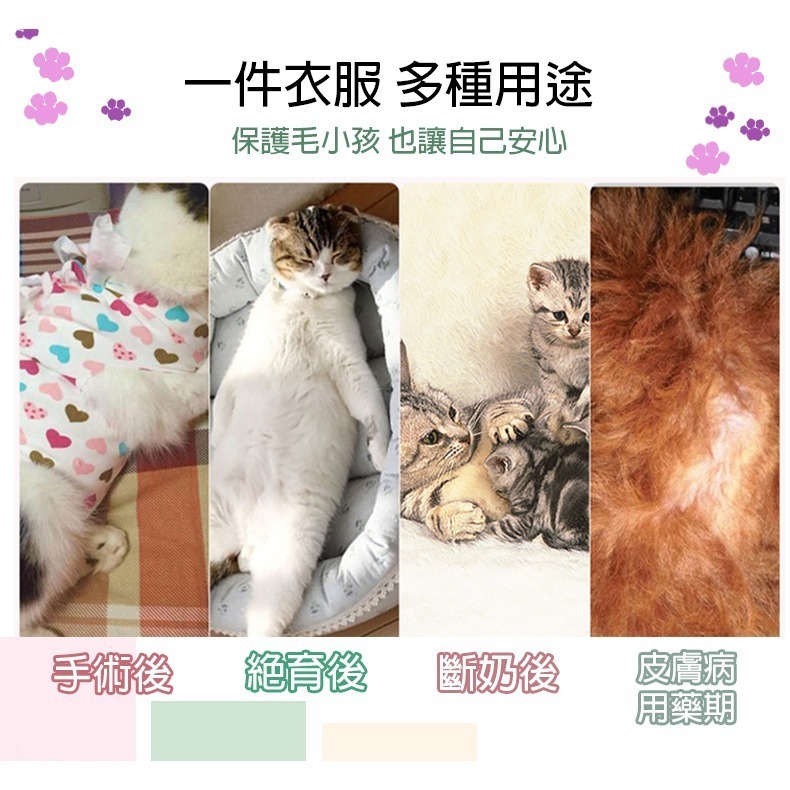 【靈活調整/透氣貼身】🐈貓咪絕育衣 寵物絕育衣 貓咪防舔衣 手術服 貓咪結紮衣服 貓咪術後衣服 寵物防舔衣 防舔服-細節圖2