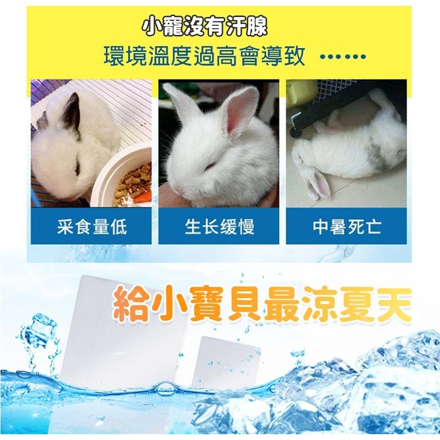 【純鋁板/物理散熱】🐈小寵降溫板 涼感散熱板 小動物散熱板 冰墊 涼墊 降溫鋁板 兔子散熱片 小寵用品 降溫板-細節圖3