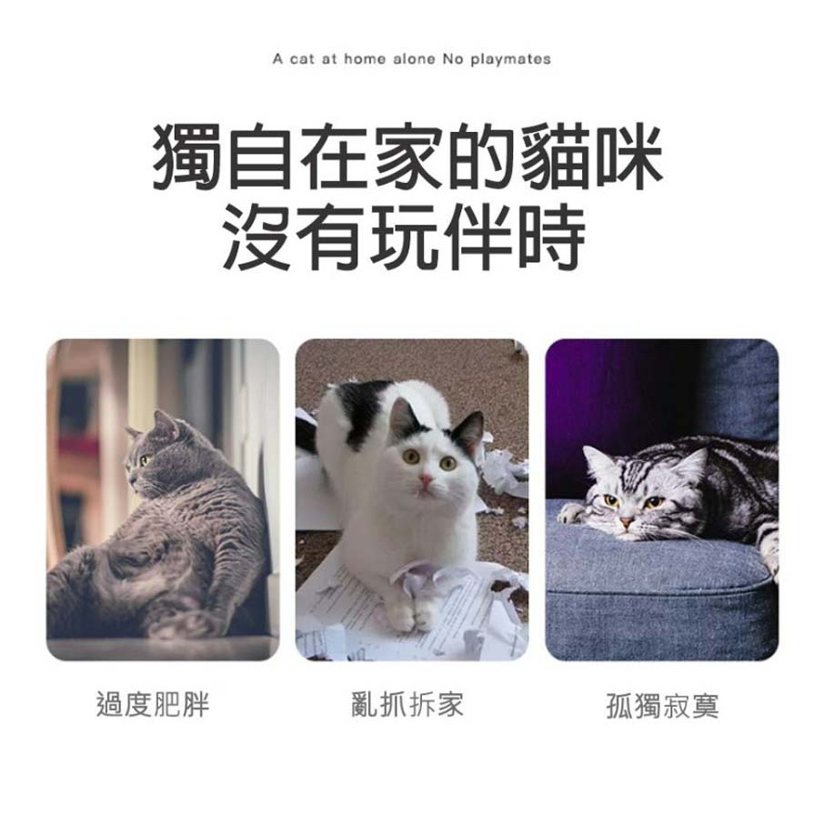 【耐磨耐咬/逗貓神器】🐈彩色尾巴絨毛小老鼠 仿真老鼠 貓玩具老鼠 寵物玩具 貓抓老鼠 逗貓玩具 羽毛尾巴老鼠-細節圖2