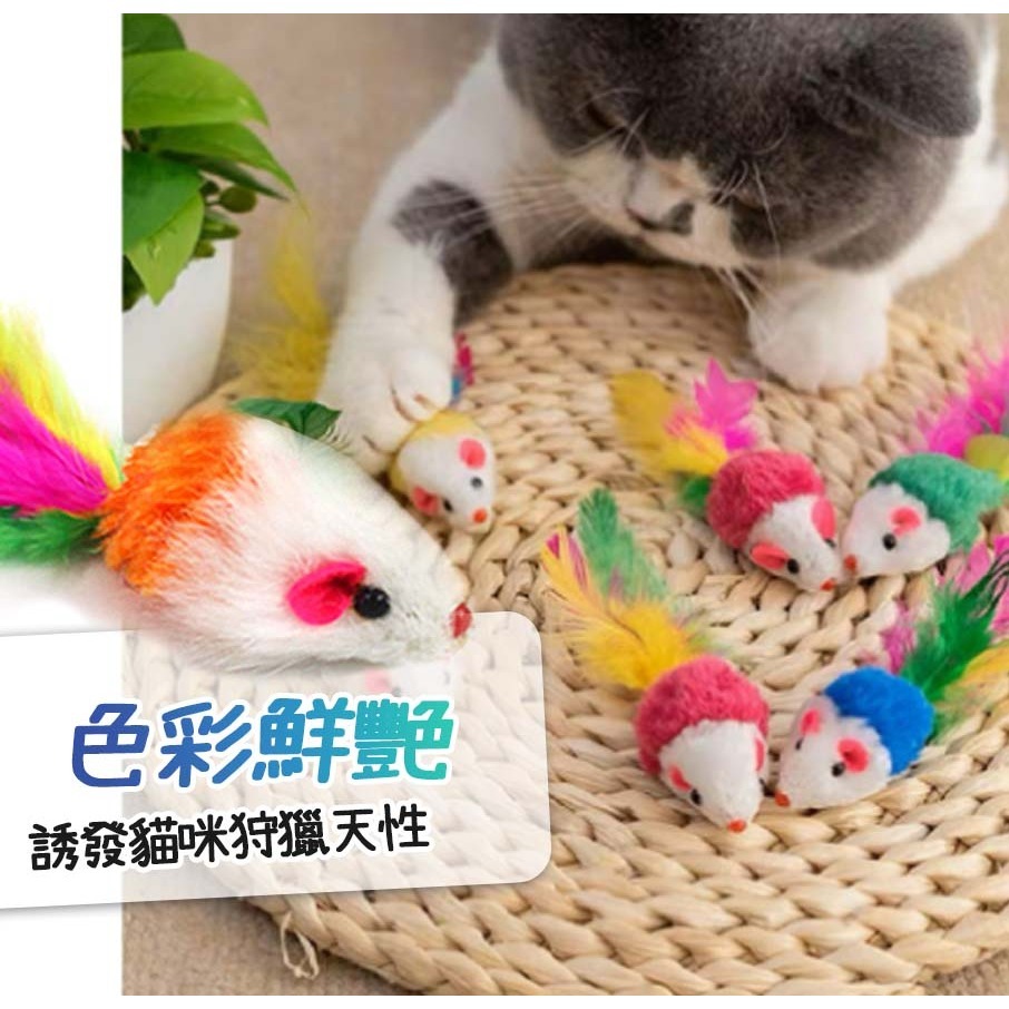 【耐磨耐咬/逗貓神器】🐈彩色尾巴絨毛小老鼠 仿真老鼠 貓玩具老鼠 寵物玩具 貓抓老鼠 逗貓玩具 羽毛尾巴老鼠-細節圖4