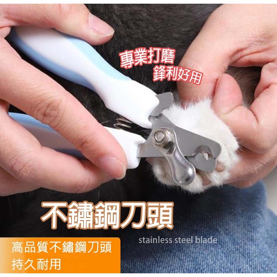 【耐用耐剪/不鏽鋼刀頭】🐈寵物指甲剪 貓狗指甲剪 狗剪刀 貓剪刀 寵物指甲剪刀 狗指甲剪 貓指甲剪 寵物美容-細節圖2
