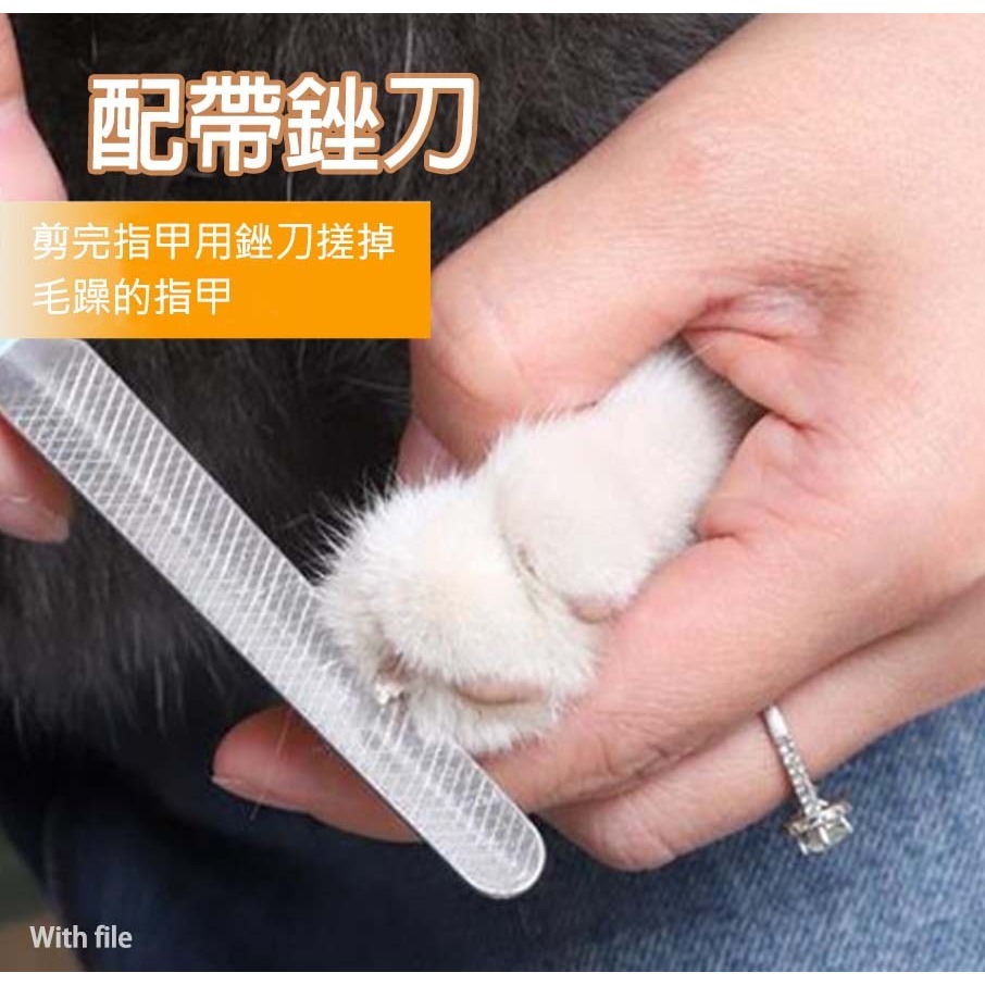 【耐用耐剪/不鏽鋼刀頭】🐈寵物指甲剪 貓狗指甲剪 狗剪刀 貓剪刀 寵物指甲剪刀 狗指甲剪 貓指甲剪 寵物美容-細節圖3