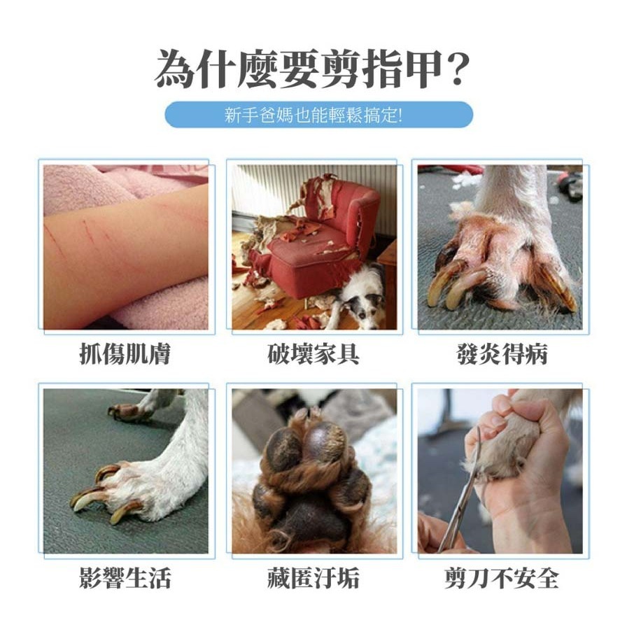 【耐用耐剪/不鏽鋼刀頭】🐈寵物指甲剪 貓狗指甲剪 狗剪刀 貓剪刀 寵物指甲剪刀 狗指甲剪 貓指甲剪 寵物美容-細節圖6