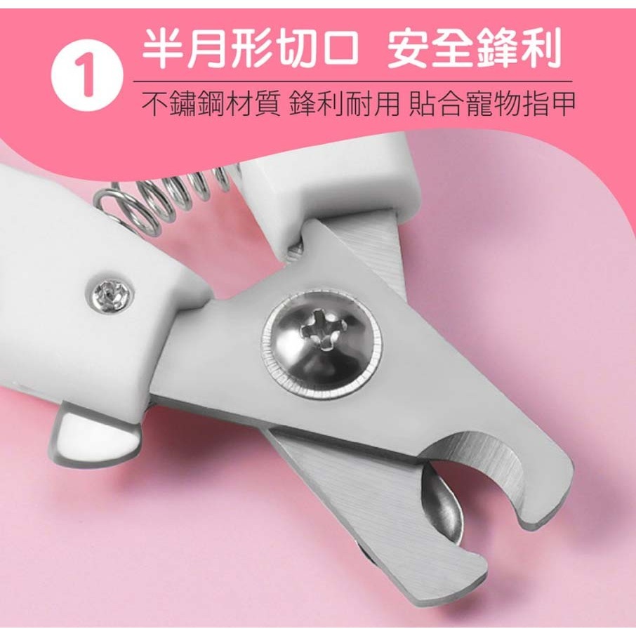 【耐用耐剪/不鏽鋼刀頭】🐈寵物指甲剪 貓狗指甲剪 狗剪刀 貓剪刀 寵物指甲剪刀 狗指甲剪 貓指甲剪 寵物美容-細節圖8