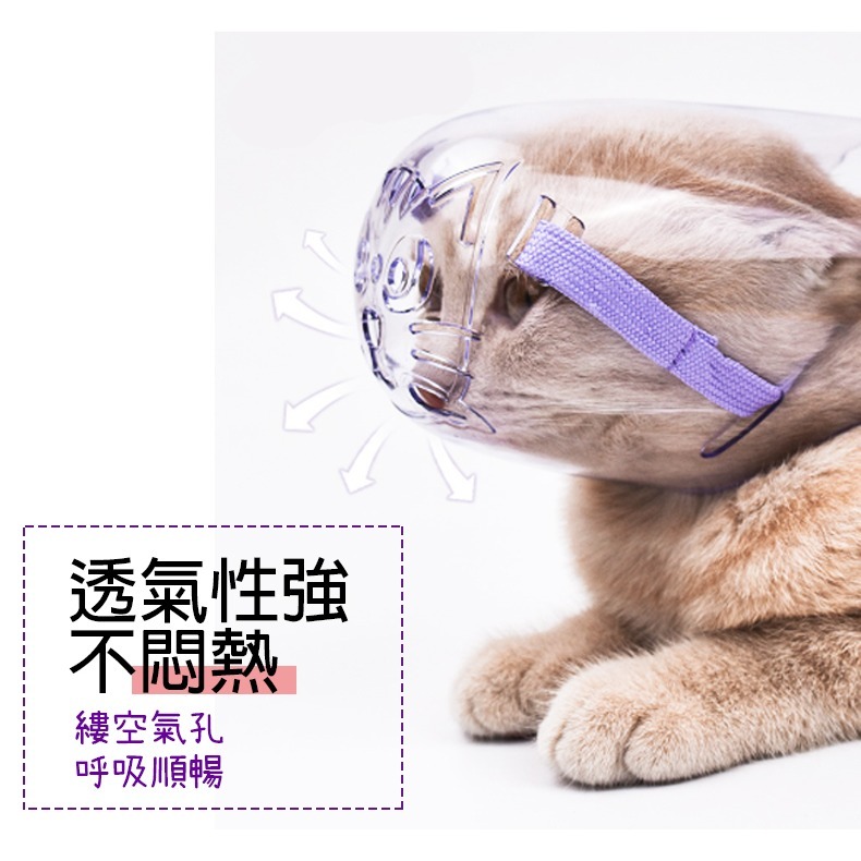 【貼合頭型/穿脫方便】🐈貓咪嘴套 貓咪頭套 狗狗頭套 防舔頭罩 防咬頭罩 防掙脫頭罩 伊莉莎白 寵物頭套 防舔圈-細節圖4