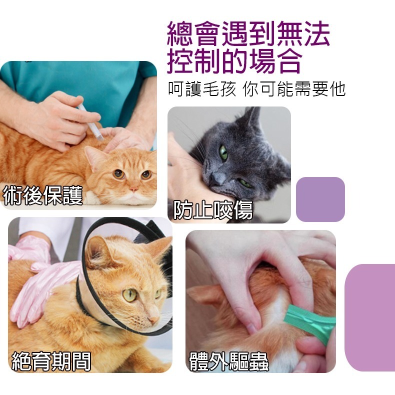 【貼合頭型/穿脫方便】🐈貓咪嘴套 貓咪頭套 狗狗頭套 防舔頭罩 防咬頭罩 防掙脫頭罩 伊莉莎白 寵物頭套 防舔圈-細節圖3