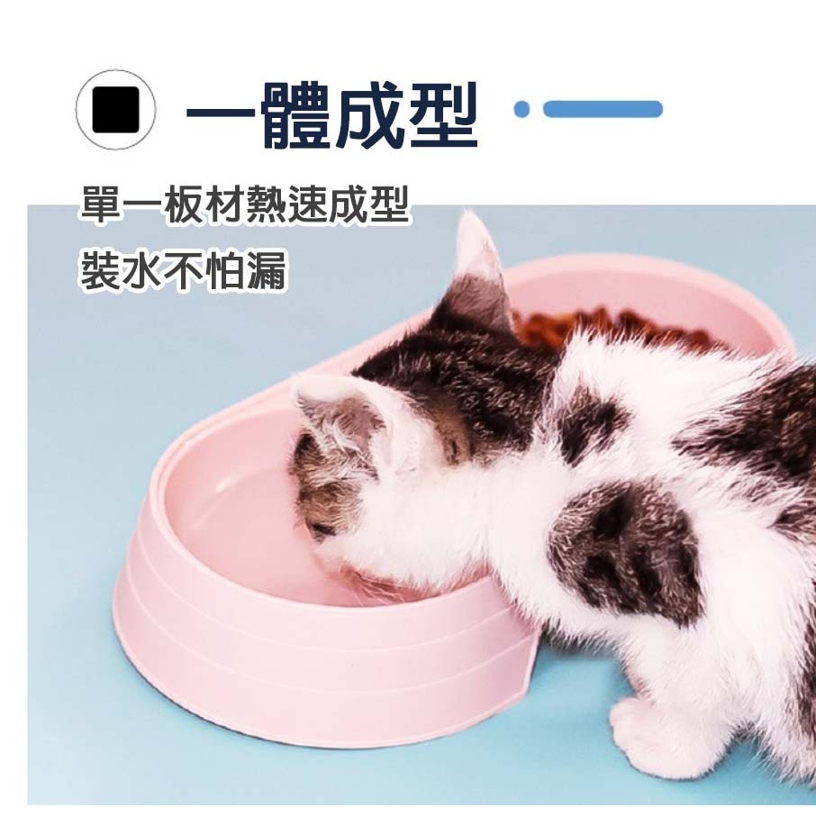 【環保材質/一體成型】🐈寵物雙碗飼料盆 寵物碗 寵物食盆 貓碗 狗碗 組合雙碗 飼料碗 慢食碗 傾斜碗 飼料盆-細節圖8