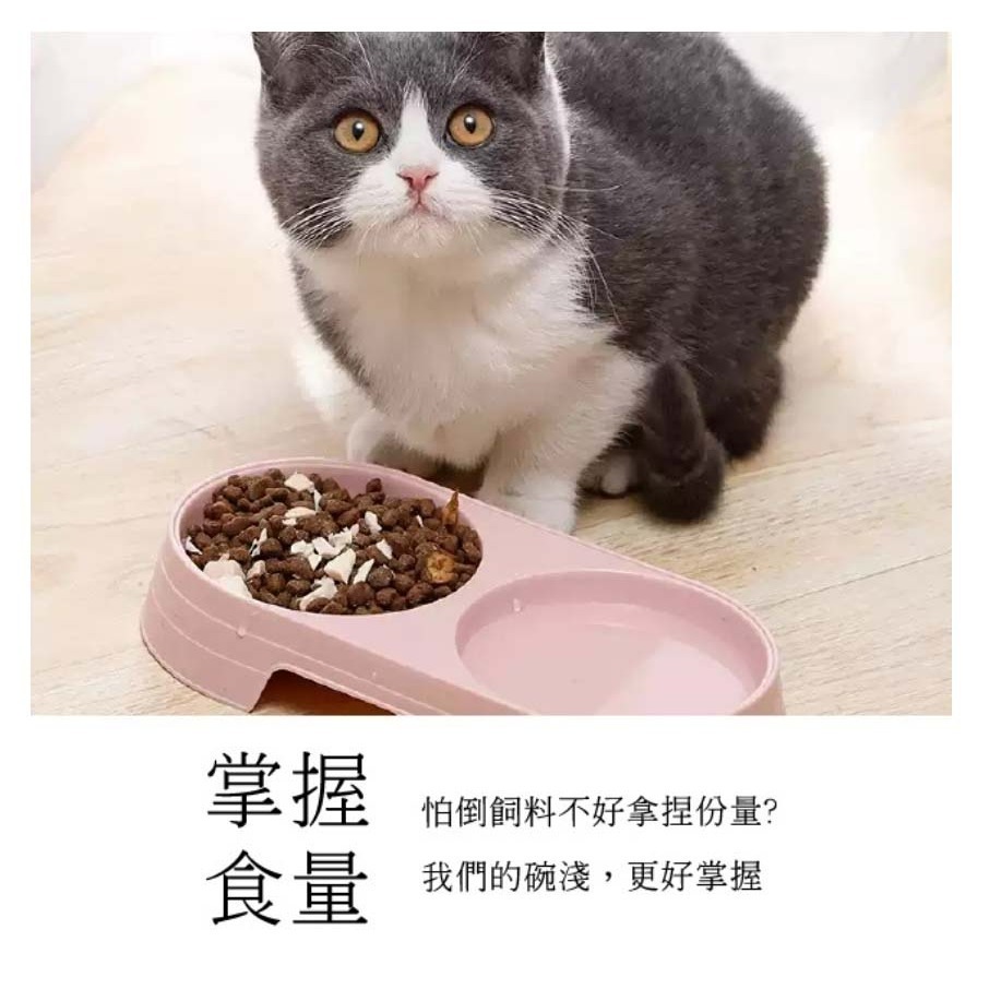 【環保材質/一體成型】🐈寵物雙碗飼料盆 寵物碗 寵物食盆 貓碗 狗碗 組合雙碗 飼料碗 慢食碗 傾斜碗 飼料盆-細節圖9