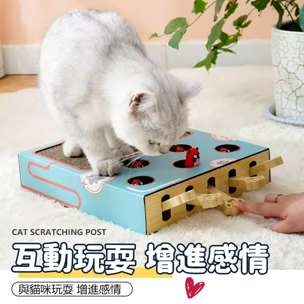 【耐磨耐抓/逗貓玩具】🐱貓咪打地鼠 貓咪玩具 磨爪 貓抓板 打地鼠 逗貓玩具 益智玩具 逗貓棒 打地鼠玩具 逗貓玩具-細節圖5