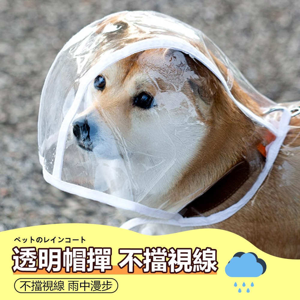 【不擋視線/快速穿戴】🐶寵物透明雨衣 寵物雨衣 狗狗雨衣 狗狗斗篷雨衣 狗狗連帽雨衣 小型犬雨衣 中型犬雨衣-細節圖4