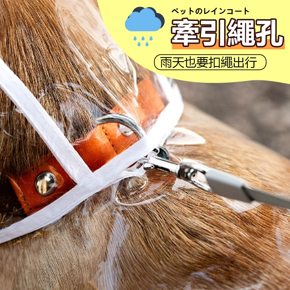 【不擋視線/快速穿戴】🐶寵物透明雨衣 寵物雨衣 狗狗雨衣 狗狗斗篷雨衣 狗狗連帽雨衣 小型犬雨衣 中型犬雨衣-細節圖5