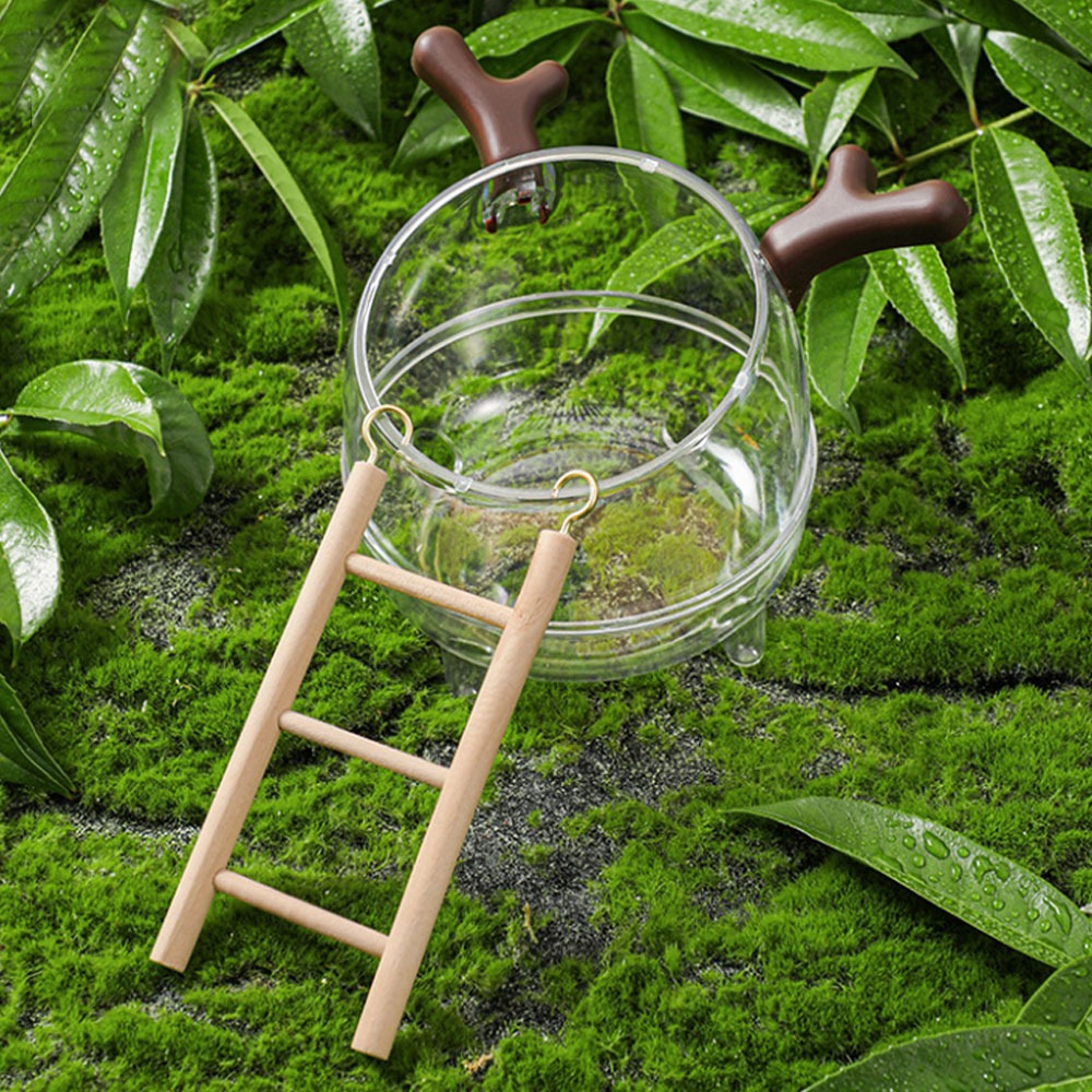 【大空間/透明材質】🐹倉鼠廁所 倉鼠浴室 倉鼠洗澡 倉鼠小窩 黃金鼠廁所 倉鼠便盆 倉鼠砂盆 倉鼠透明窩 倉鼠洗澡-規格圖9