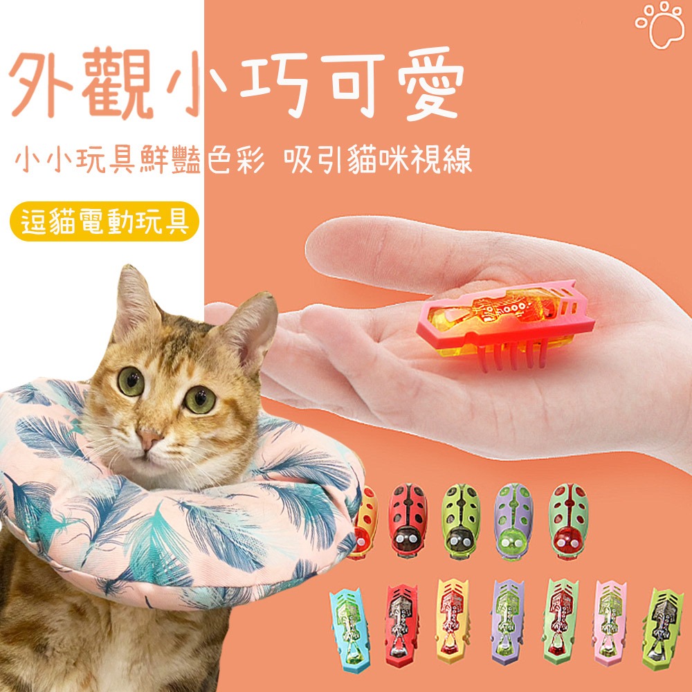 【自動玩耍/多種樣式】🐱電動蟲蟲 牙刷蟲 震動蟲 奈米蟲 玩具蟲 跳跳蟲 電動昆蟲 貓玩具 貓咪玩具 逗貓玩具-細節圖8