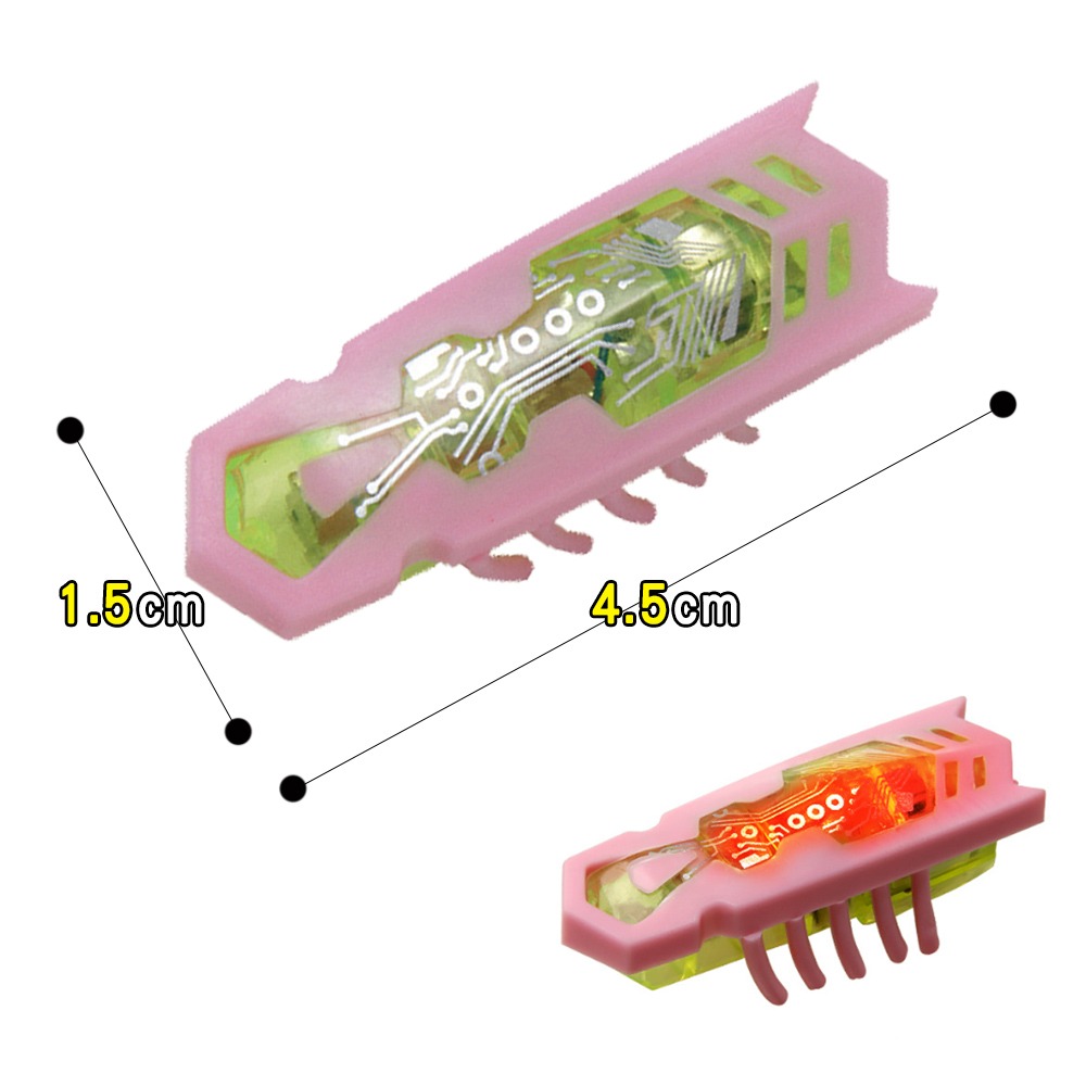 【自動玩耍/多種樣式】🐱電動蟲蟲 牙刷蟲 震動蟲 奈米蟲 玩具蟲 跳跳蟲 電動昆蟲 貓玩具 貓咪玩具 逗貓玩具-規格圖9