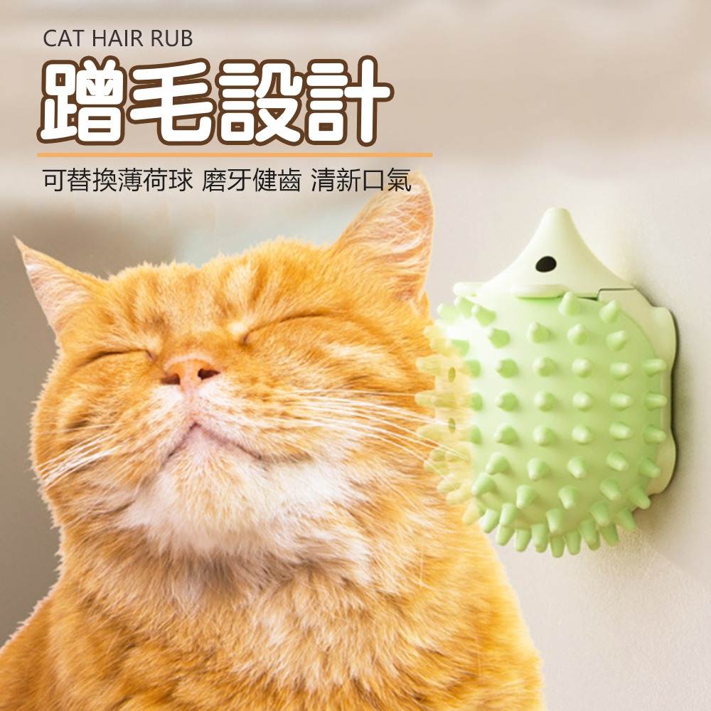 【隨意擺放/輕鬆抓癢】🐱貓咪蹭毛器 除毛梳 蹭毛器 廢毛梳 蹭蹭刷 牆角梳 除毛梳 寵物梳 貓咪按摩 貓咪梳毛-細節圖3