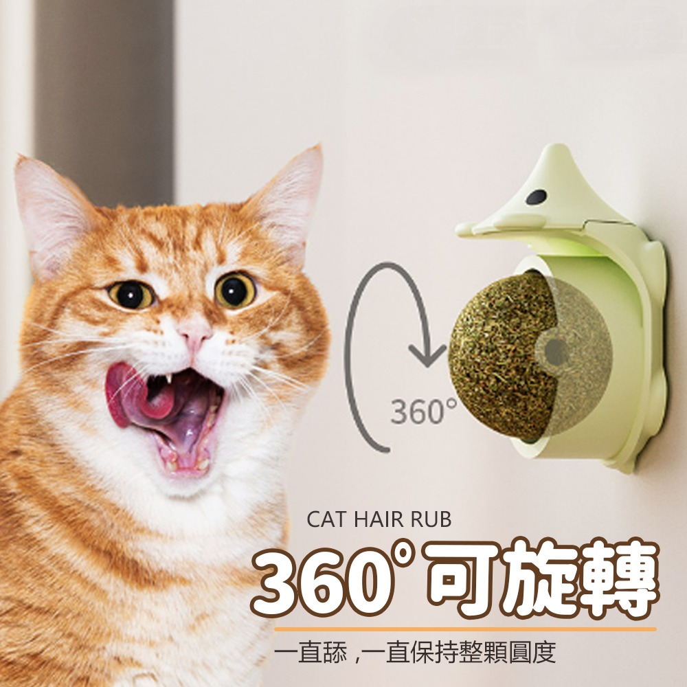 【隨意擺放/輕鬆抓癢】🐱貓咪蹭毛器 除毛梳 蹭毛器 廢毛梳 蹭蹭刷 牆角梳 除毛梳 寵物梳 貓咪按摩 貓咪梳毛-細節圖4