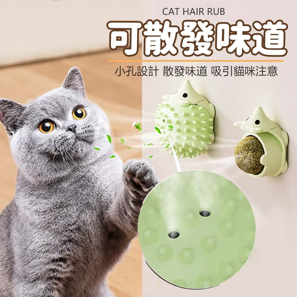 【隨意擺放/輕鬆抓癢】🐱貓咪蹭毛器 除毛梳 蹭毛器 廢毛梳 蹭蹭刷 牆角梳 除毛梳 寵物梳 貓咪按摩 貓咪梳毛-細節圖7