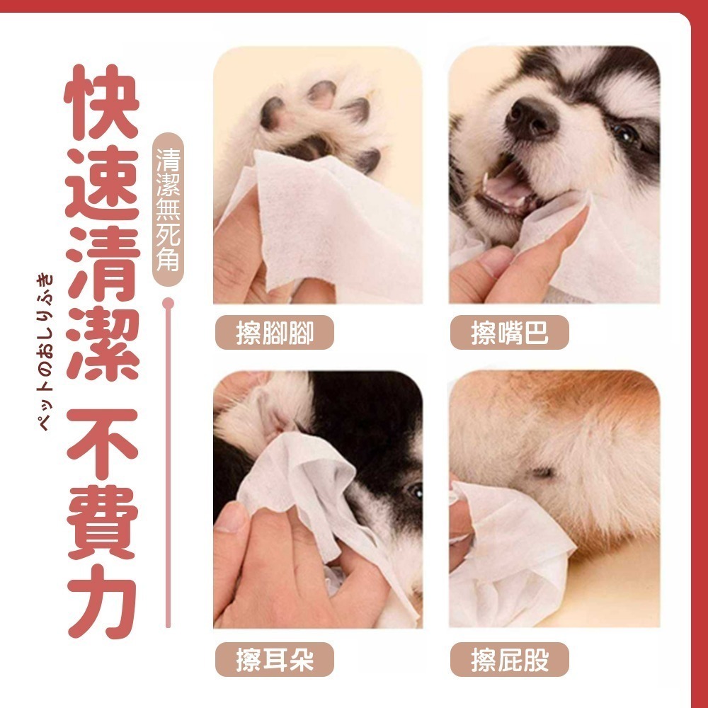 【呵護愛寵/溫和清潔】🐶🐱KOJIMA 寵物濕紙巾 貓咪用品 寵物除臭 貓咪濕紙巾 寵物清潔 狗狗濕紙巾 狗濕紙巾-細節圖7