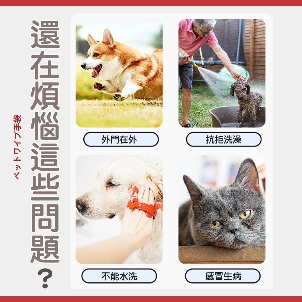 【快速洗澡/[溫和觸感】🐶🐱日本KOJIMA 寵物濕紙巾 擦澡手套 手套濕巾 寵物擦澡濕巾 寵物清潔 貓狗清潔-細節圖5