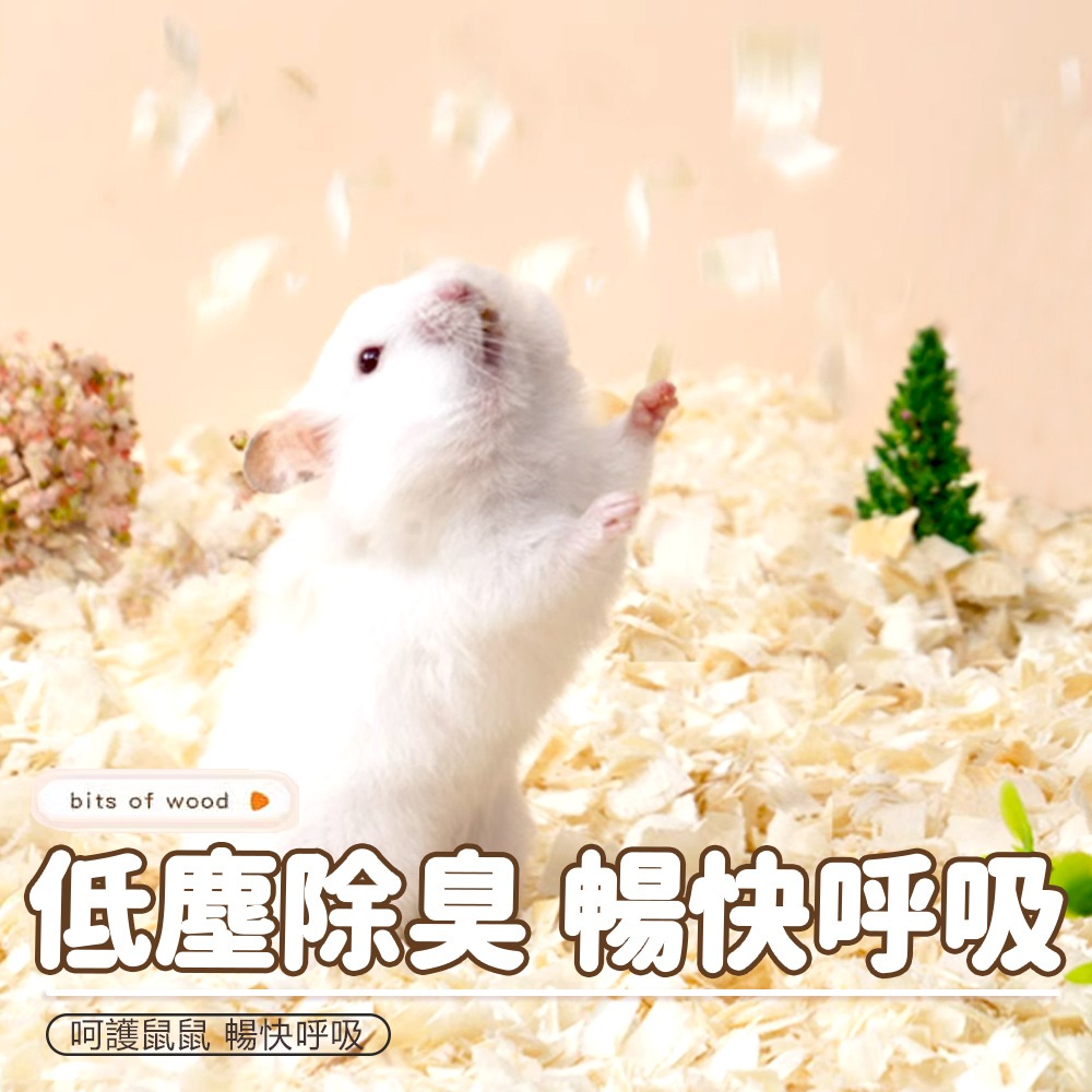 【天然木屑/吸濕除臭】🐹倉鼠木屑 小寵木屑 寵物木屑床 小動物木屑 鼠用木屑 墊料 倉鼠紙棉 鼠兔木屑 倉鼠墊料-細節圖4