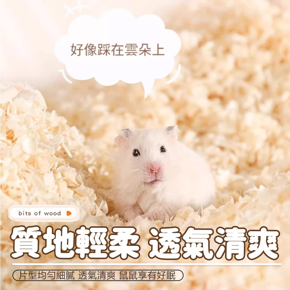 【天然木屑/吸濕除臭】🐹倉鼠木屑 小寵木屑 寵物木屑床 小動物木屑 鼠用木屑 墊料 倉鼠紙棉 鼠兔木屑 倉鼠墊料-細節圖5