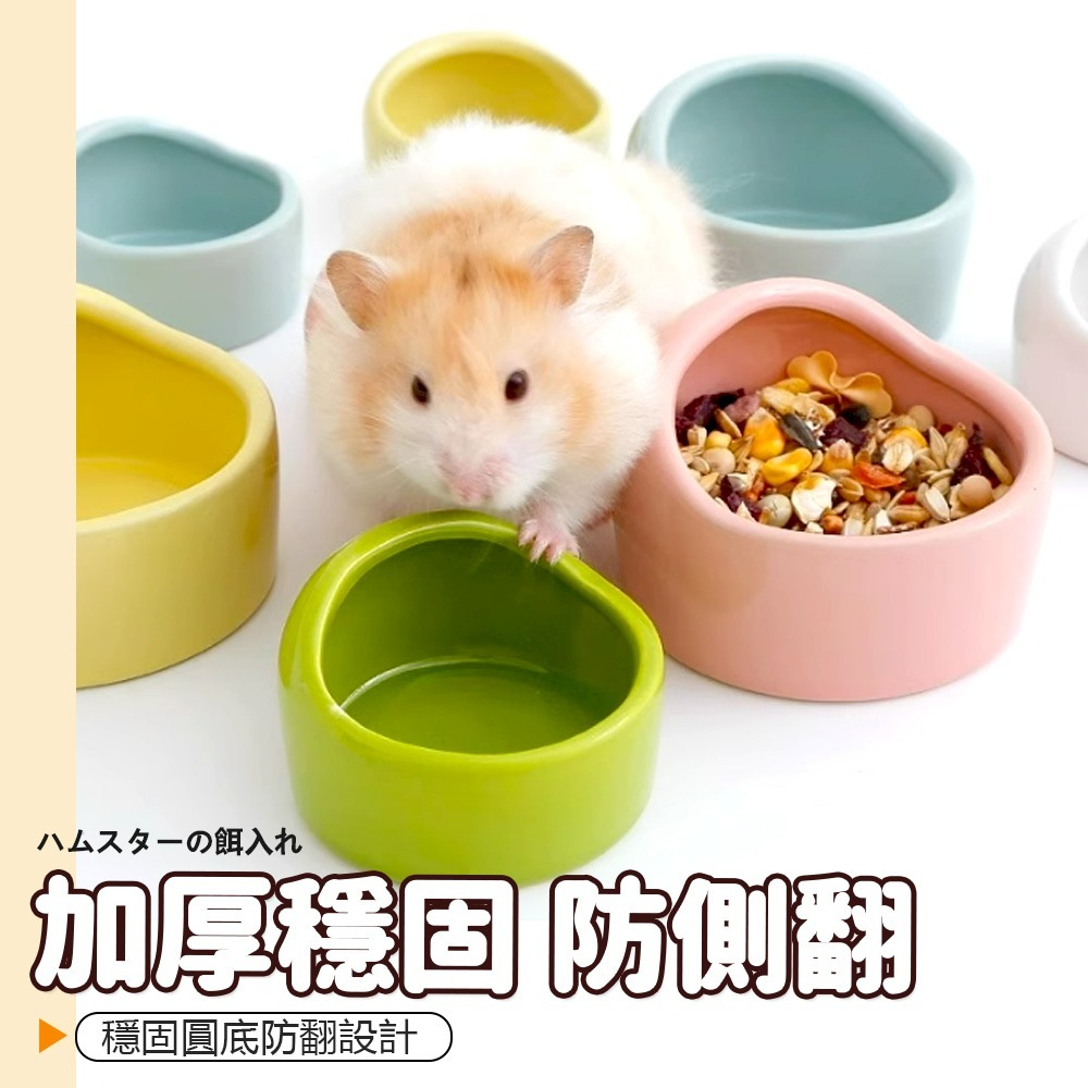 【圓弧加高/防止噴濺】🐹倉鼠用陶瓷食盆 陶瓷倉鼠小食盆 鼠食盆 寵物鼠食盆 倉鼠食盆 鼠用食盆 小寵食盆 小動物食盆-細節圖4