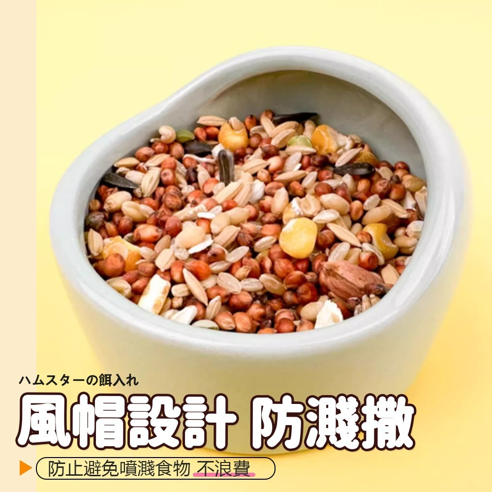 【圓弧加高/防止噴濺】🐹倉鼠用陶瓷食盆 陶瓷倉鼠小食盆 鼠食盆 寵物鼠食盆 倉鼠食盆 鼠用食盆 小寵食盆 小動物食盆-細節圖5