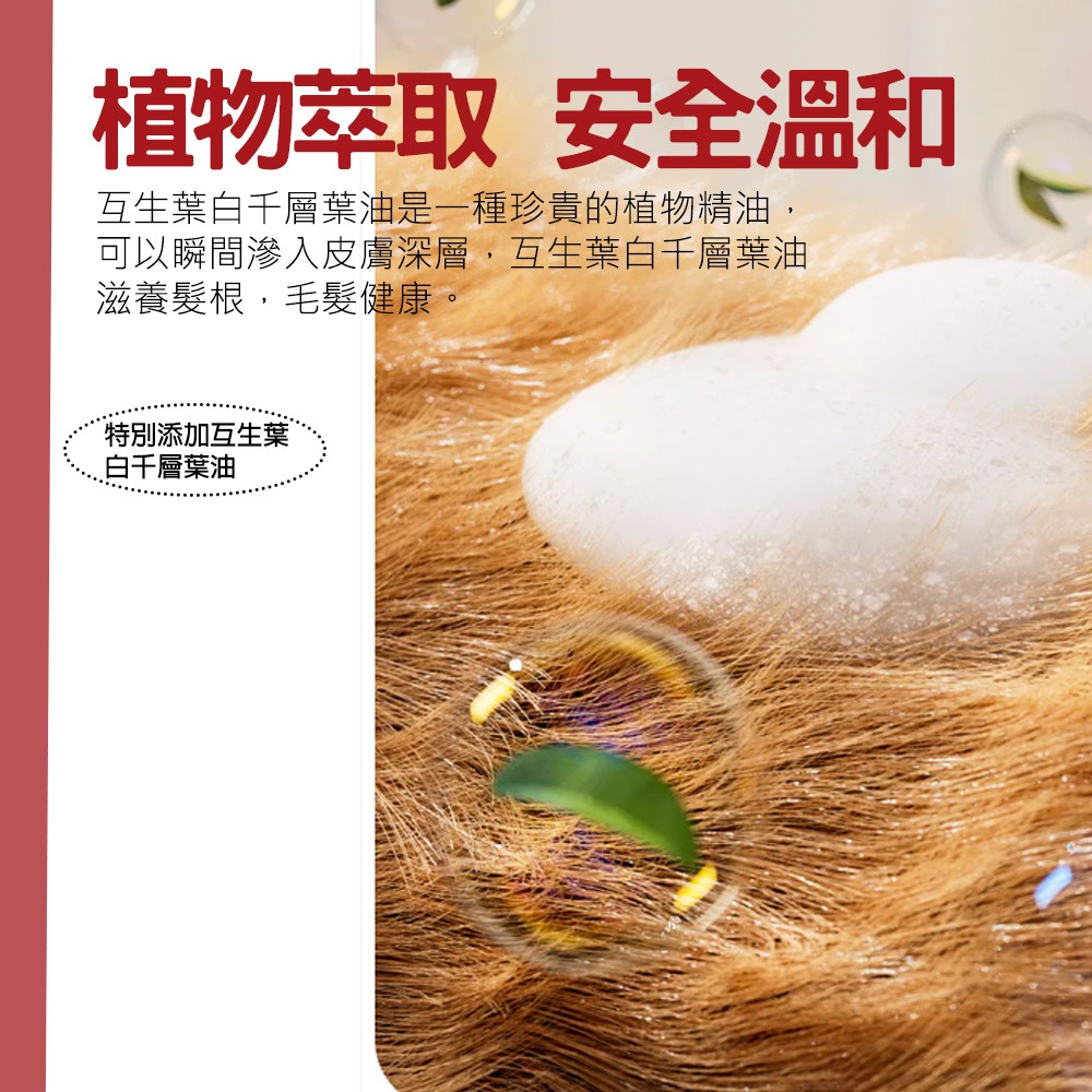 【溫和清潔/不刺激】🐶🐱日本KOJIMA 寵物乾洗泡沫 寵物免洗泡沫 寵物洗毛精 寵物洗澡 洗澡沐浴露 貓咪洗澡-細節圖5