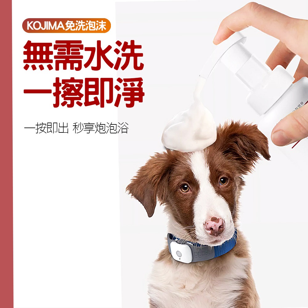 【溫和清潔/不刺激】🐶🐱日本KOJIMA 寵物乾洗泡沫 寵物免洗泡沫 寵物洗毛精 寵物洗澡 洗澡沐浴露 貓咪洗澡-細節圖7