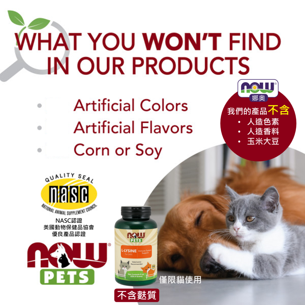 【NOW 娜奧】貓用L-離胺酸粉226.8g~效期10/2028~送茶匙(Lysine/寵物)Now foods-細節圖5