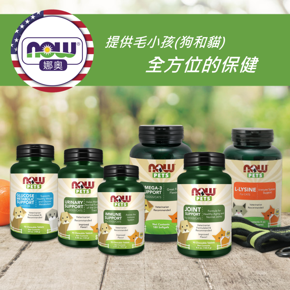 【NOW 娜奧】貓用L-離胺酸粉227g~效期10/2027~(L-Lysine/不含麩質/寵物)~Now Foods-細節圖7