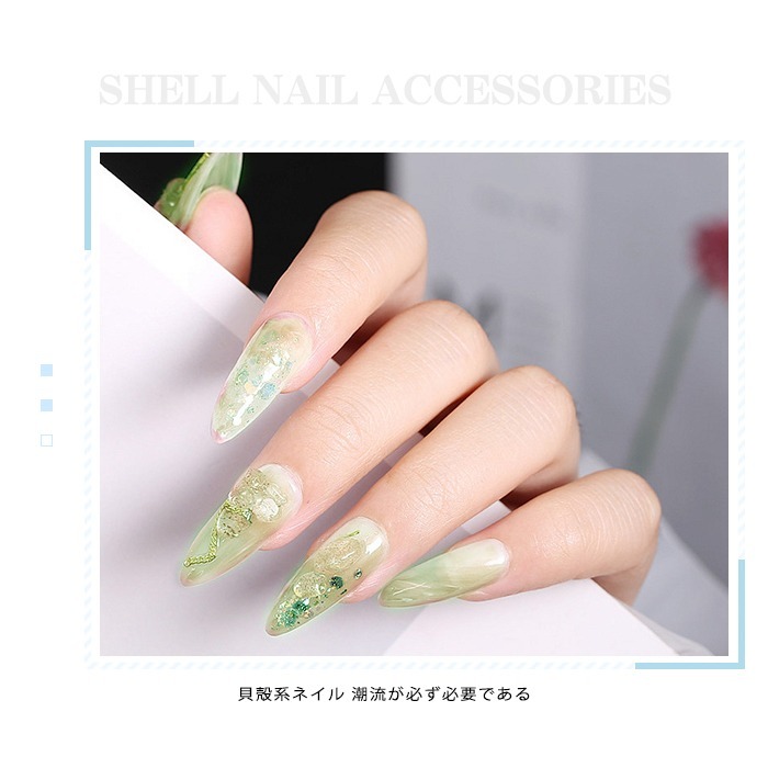 日式天然石貝殼混合 幻彩精靈珠 美甲鑽飾 穿戴甲裝飾材料 美甲飾品 ED43NailsMall-細節圖4