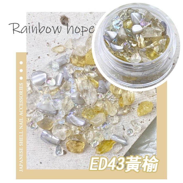 日式天然石貝殼_黃榆