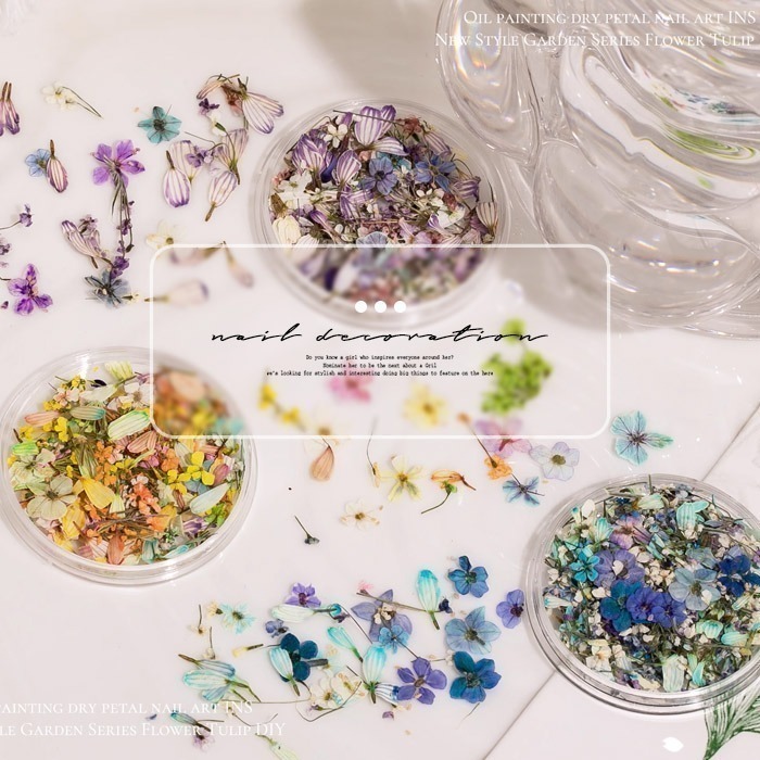 日本同款 油畫花瓣 乾燥花 ins風小花朵 小鬱金香花瓣 美甲飾品NailsMall-細節圖2