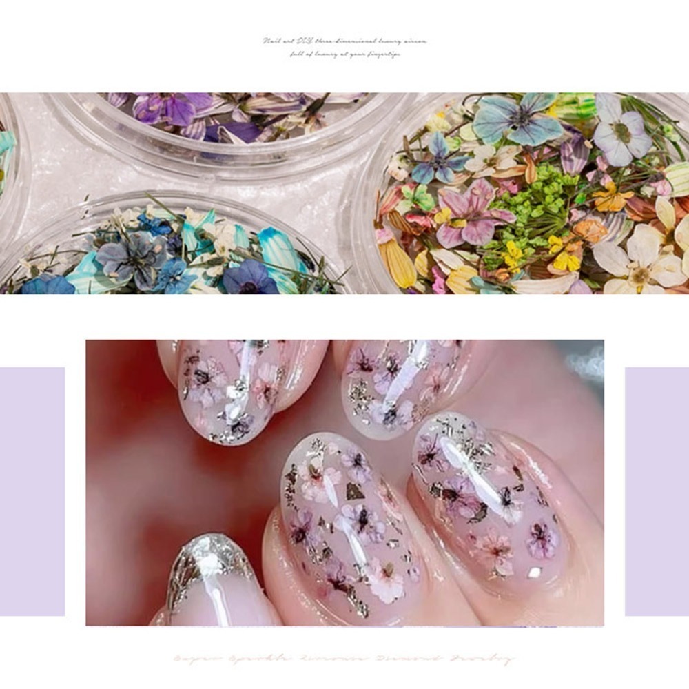 日本同款 油畫花瓣 乾燥花 ins風小花朵 小鬱金香花瓣 美甲飾品NailsMall-細節圖4